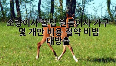 소량이사 꿀팁🍯: 원룸이사, 가구 몇 개만? 비용 절약 비법 대방출!