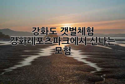 강화도 갯벌체험, 강화레포츠파크에서 신나는 모험!