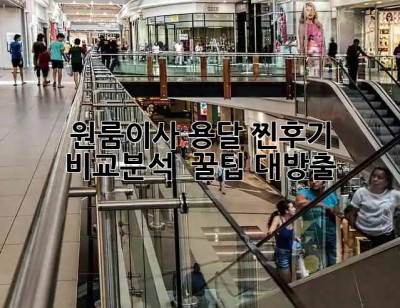 원룸이사 용달 찐후기🧐 비교분석 & 꿀팁 대방출🍯