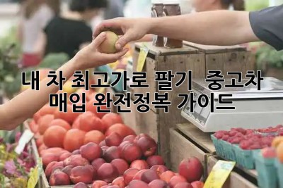 내 차 최고가로 팔기! 🚗💨 중고차 매입 완전정복 가이드
