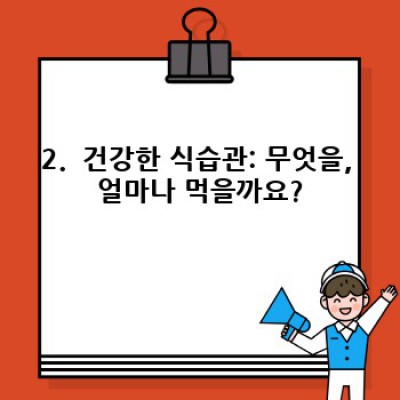 찐·건강하게 살 빼고 유지하는 방법: 나에게 맞는 체중 관리 전략 찾기