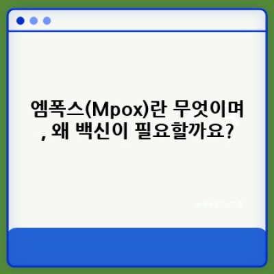 엠폭스 백신 완벽 가이드: 궁금증 해소와 최신 정보 총정리!