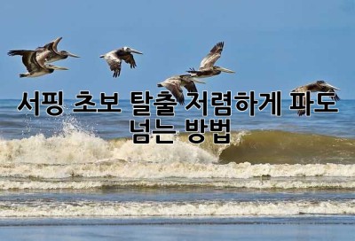 서핑 초보 탈출! 저렴하게 파도 넘는 방법🏄‍♀️