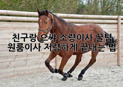 친구랑 으쌰💪 소량이사 꿀팁: 원룸이사 저렴하게 끝내는 법!
