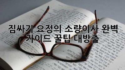 짐싸기 요정🧚‍♀️의 소량이사 완벽 가이드: 꿀팁 대방출🍯
