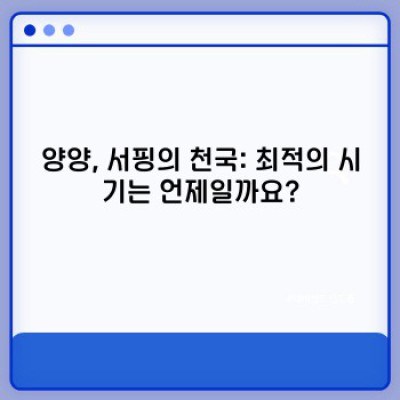 양양 서핑 완벽 가이드: 초보부터 프로까지, 궁금증 해결!