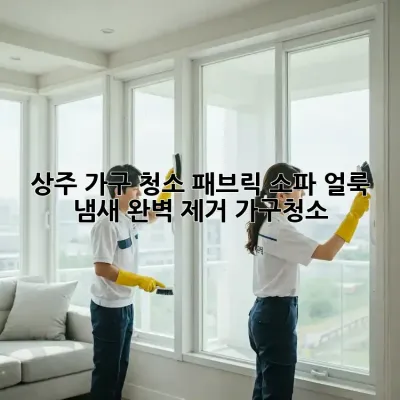 상주 가구 청소🧹 패브릭 소파 얼룩, 냄새 완벽 제거! #가구청소