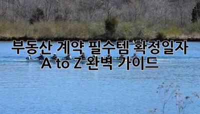 부동산 계약 필수템🔑 확정일자 A to Z 완벽 가이드