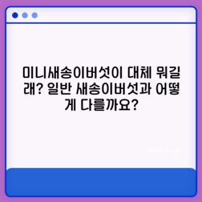 미니새송이버섯 완벽 가이드: 궁금증 해소와 활용법 총정리!